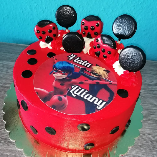 Ladybug & Cat Noir Kindergeburtstag