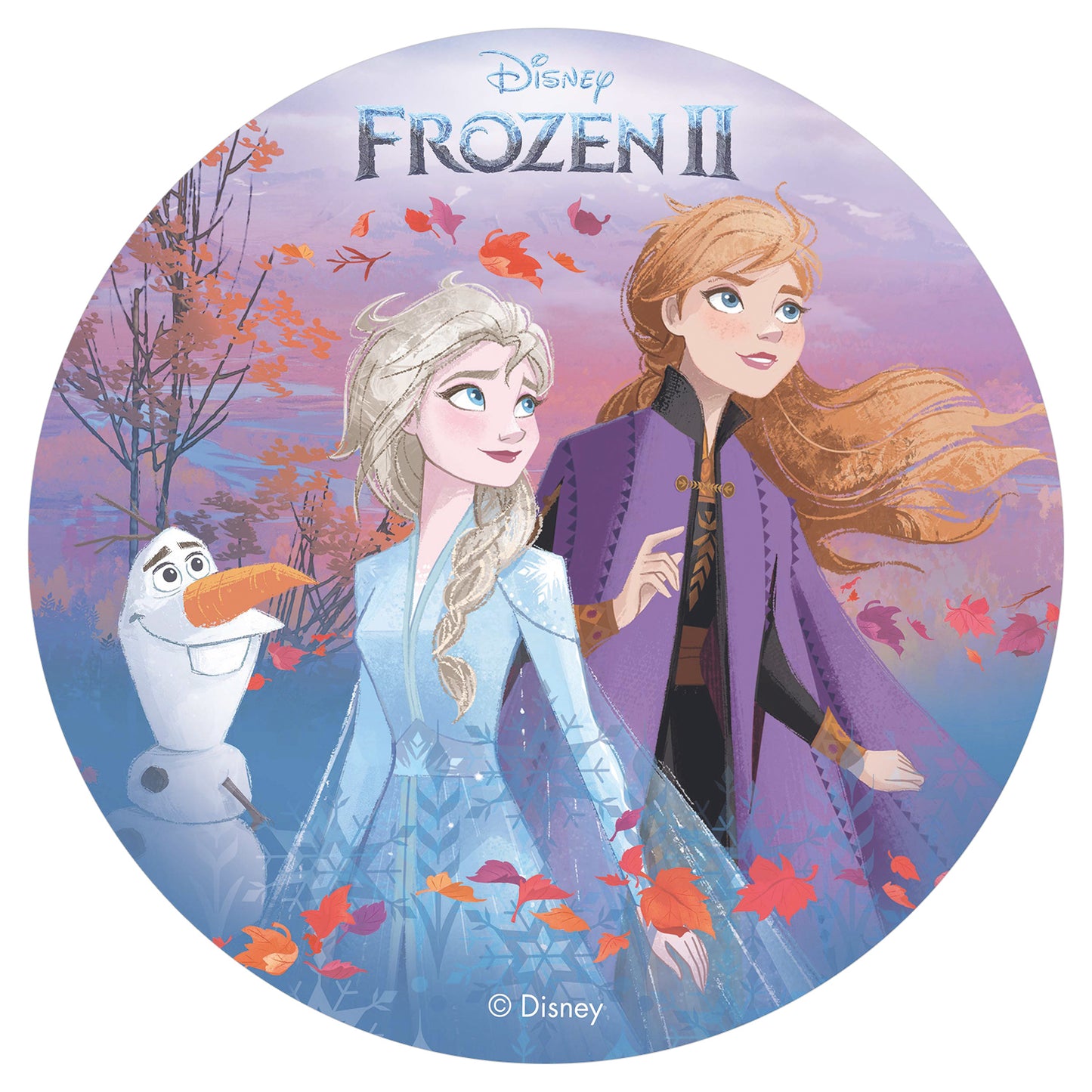 Frozen - 20cm Oblate