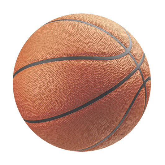 Basketball- 20cm Oblate